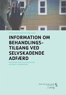 Folder til patienter - Information om behandlingstilgang ved selvskadende adfærd